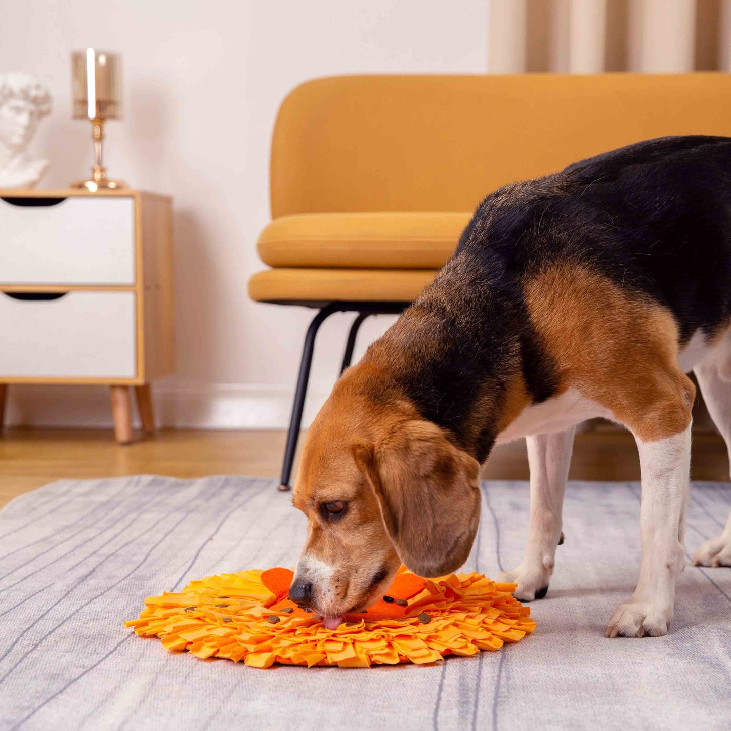 Dog playing with Lion Snuffle Mat Toy from Floyd & Fleet