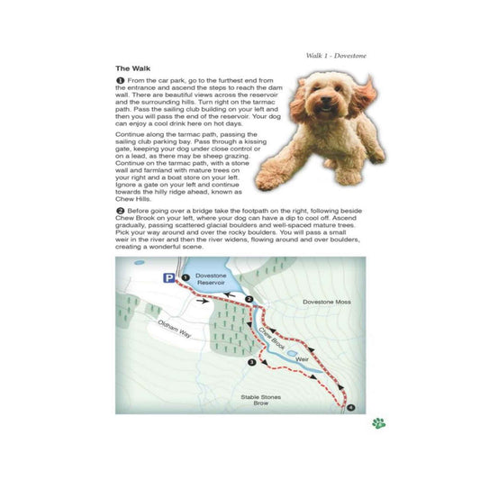 Countryside Dog Walks - Peak District North - Floyd & Fleet