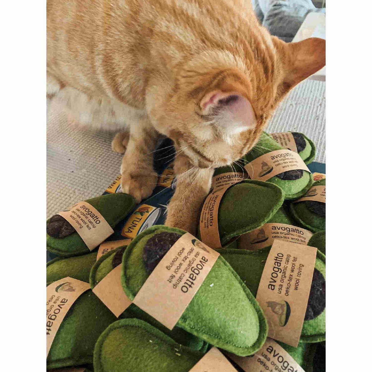 Avogatto Cat Toy - Cat and Pile - Floyd & Fleet