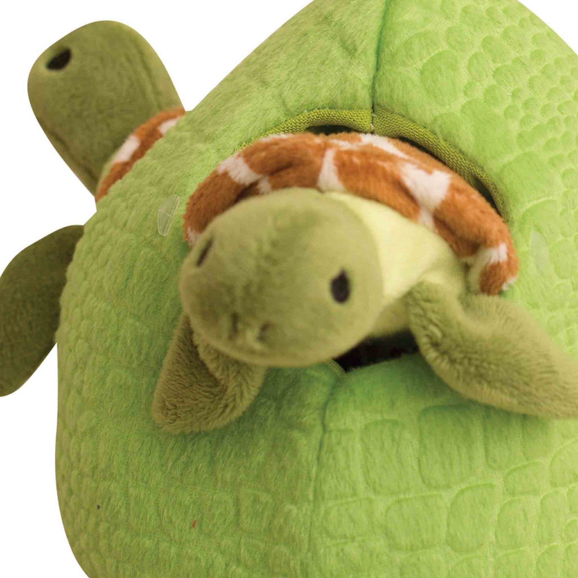 Turtle in Hide and Seek Reef Dog Toy from Floyd & Fleet
