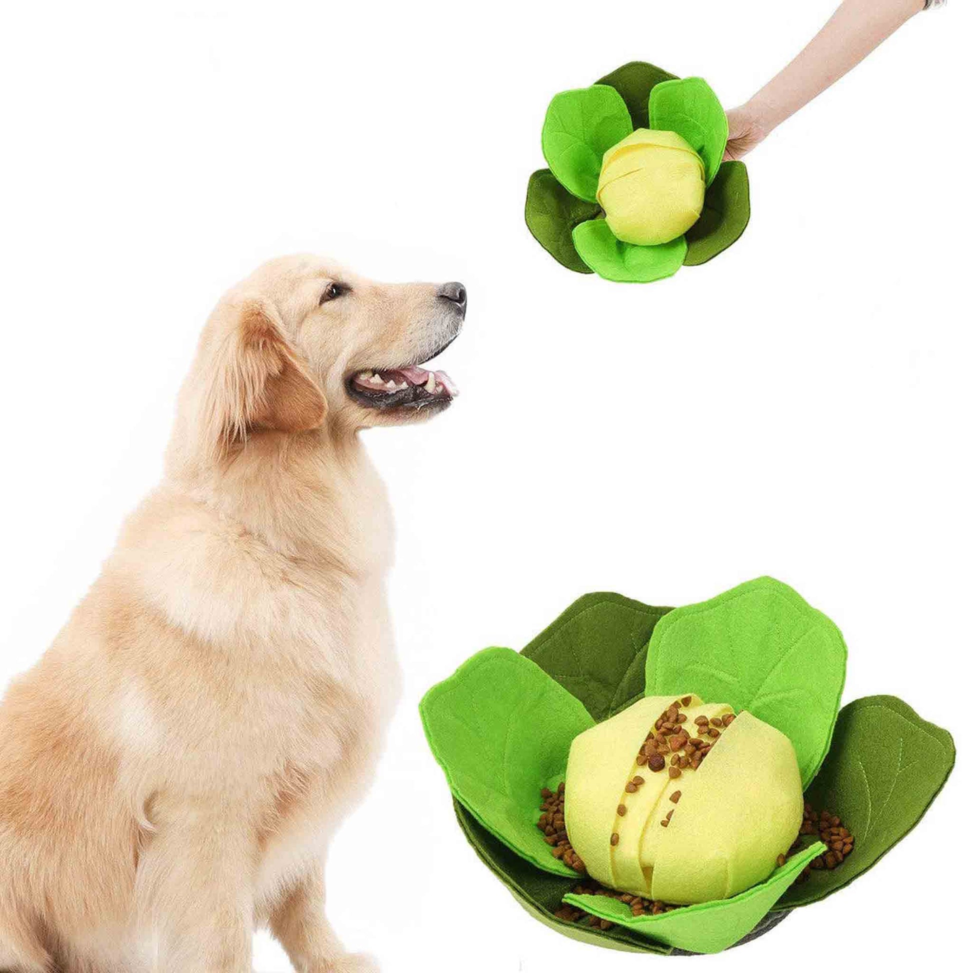 Cabbage Snuffle Dog Toy with treats from Floyd & Fleet