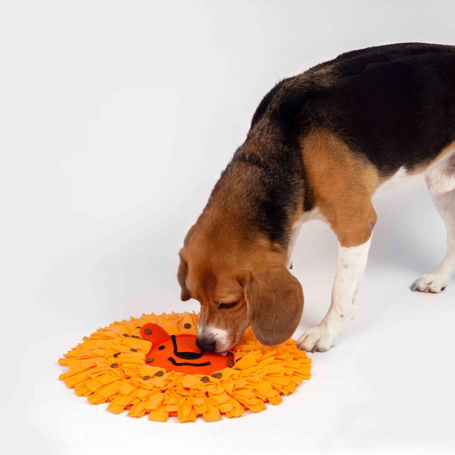 Dog finding treats on Lion Snuffle Mat Toy from Floyd & Fleet