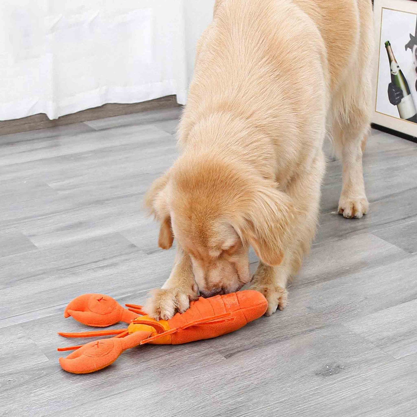 Dog playing with Lobster Snuffle Doy Toy from Floyd & Fleet