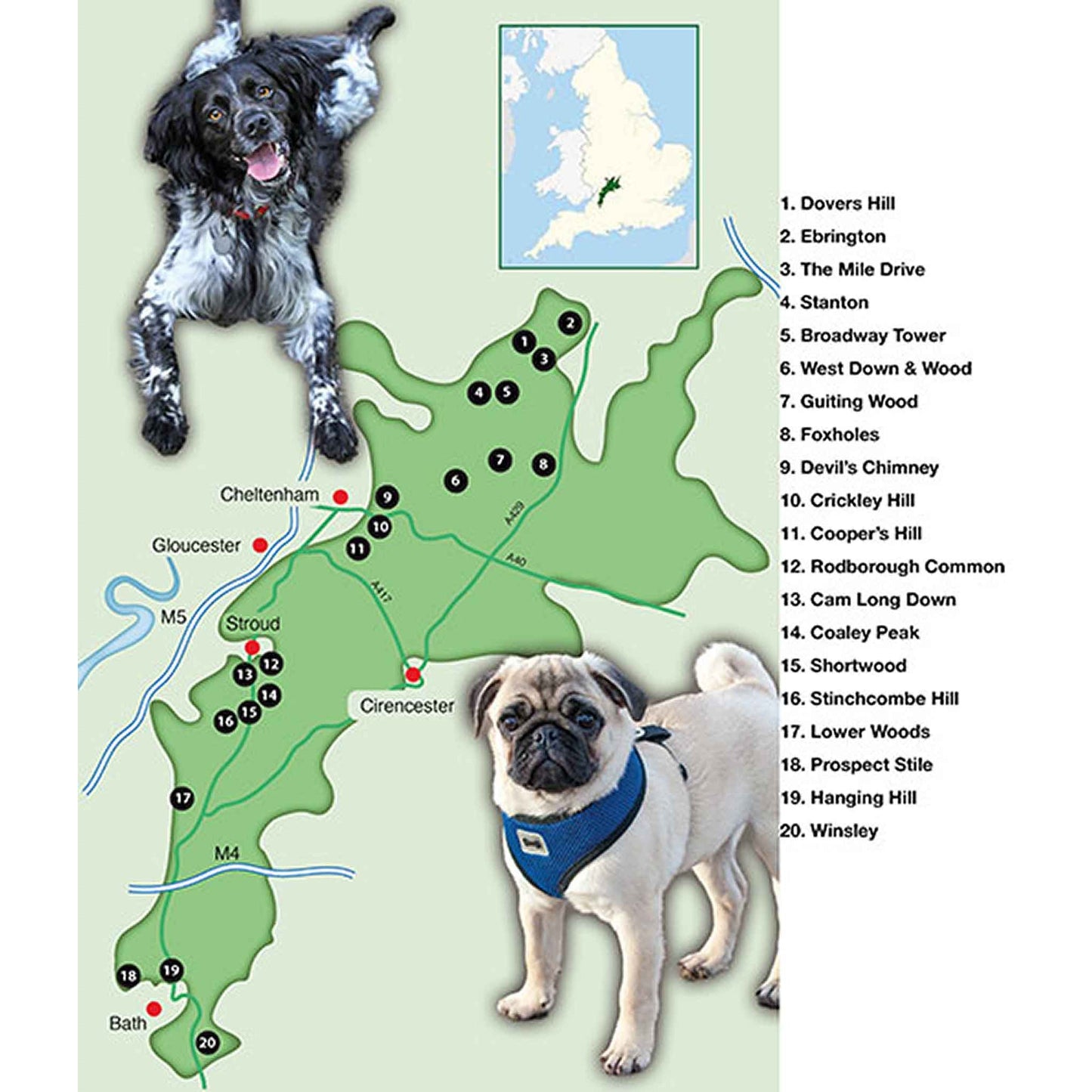 Countryside Dog Walks - Cotswolds - Floyd & Fleet