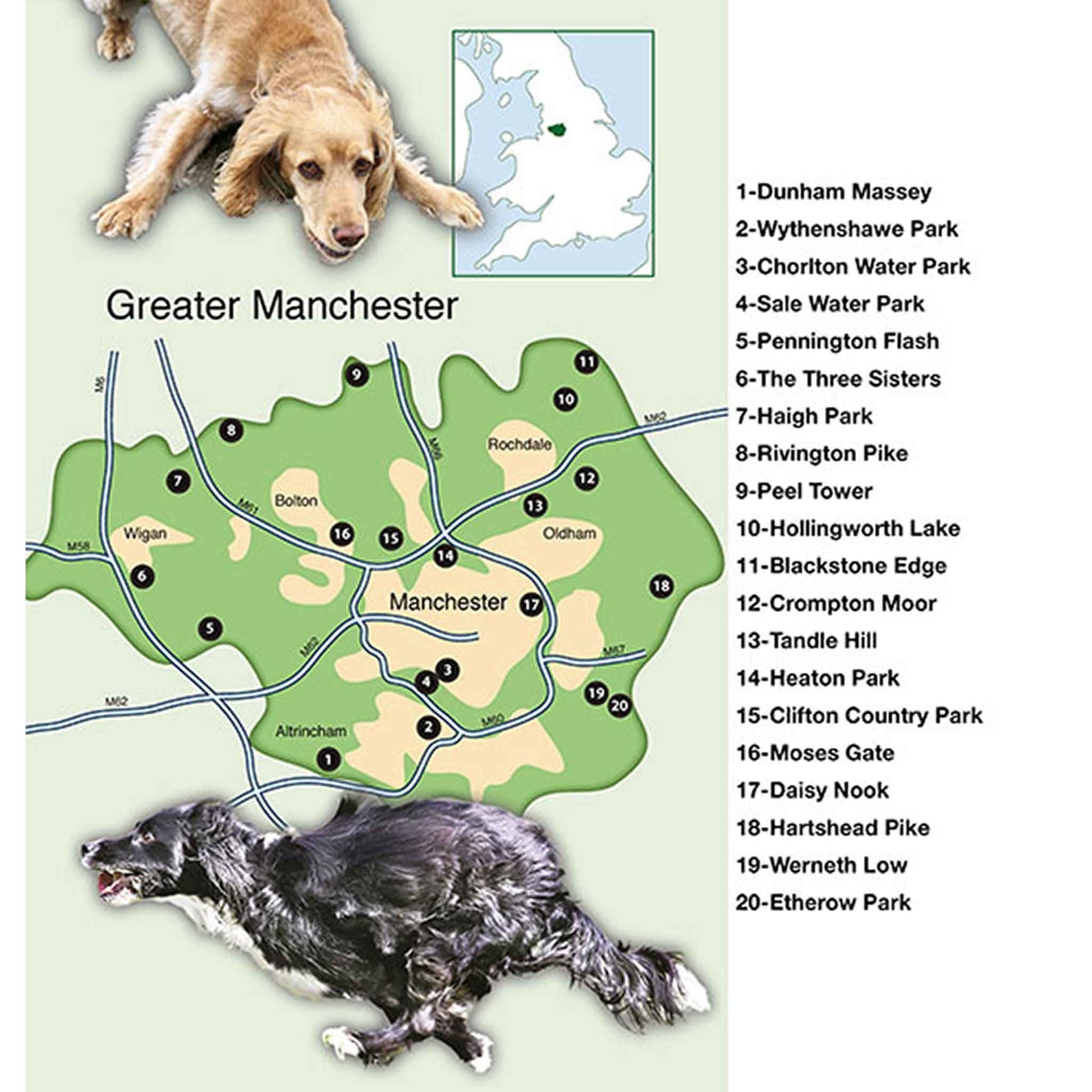 Countryside Dog Walks - Greater Manchester - Floyd & Fleet