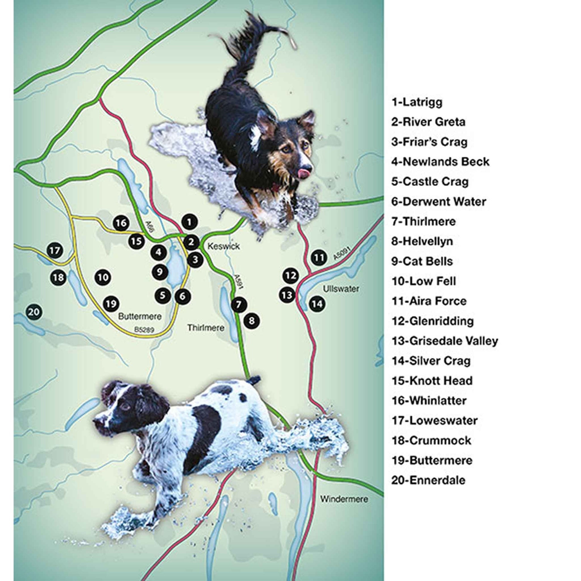 Countryside Dog Walks - Lake District North - Floyd & Fleet