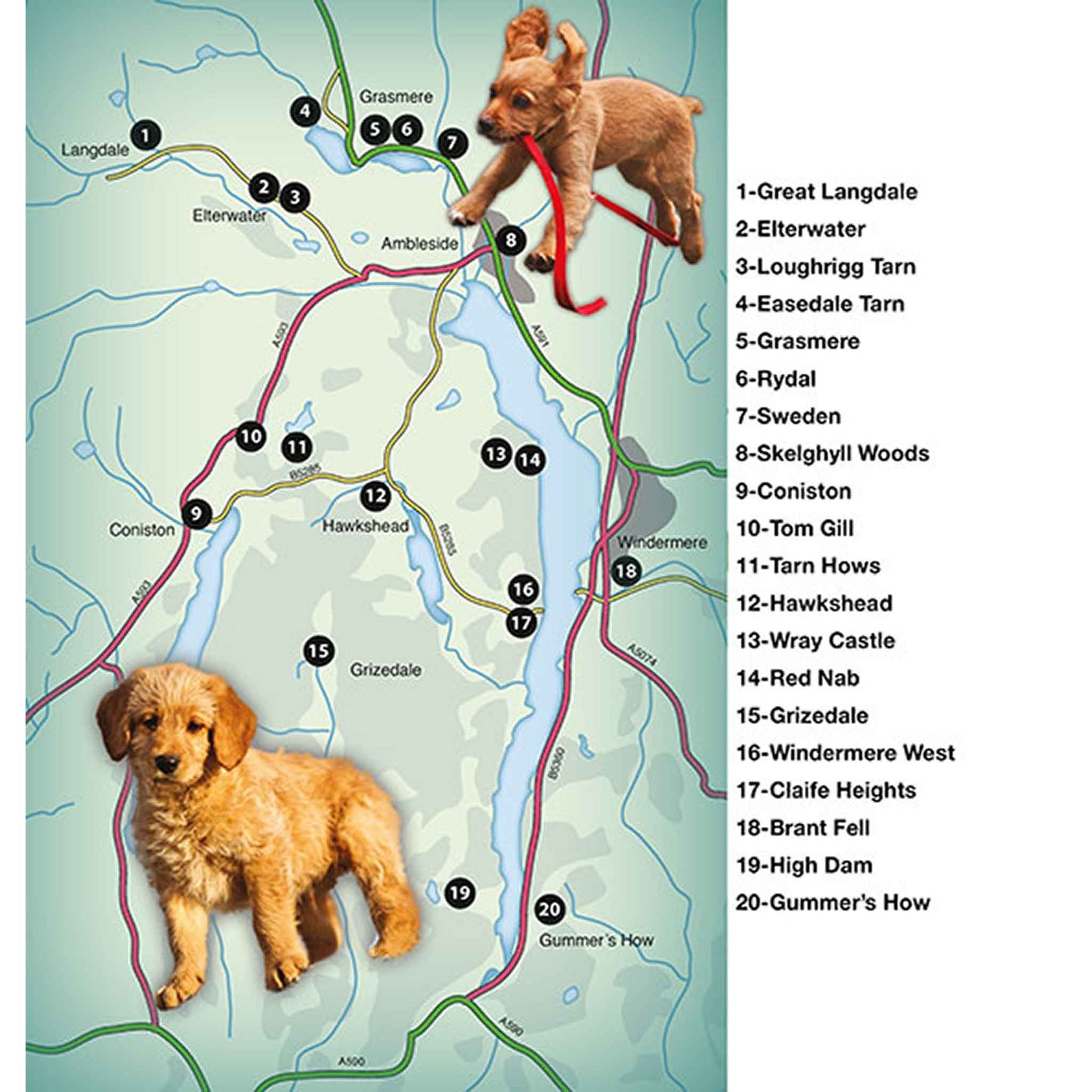 Countryside Dog Walks - Lake District South - Floyd & Fleet
