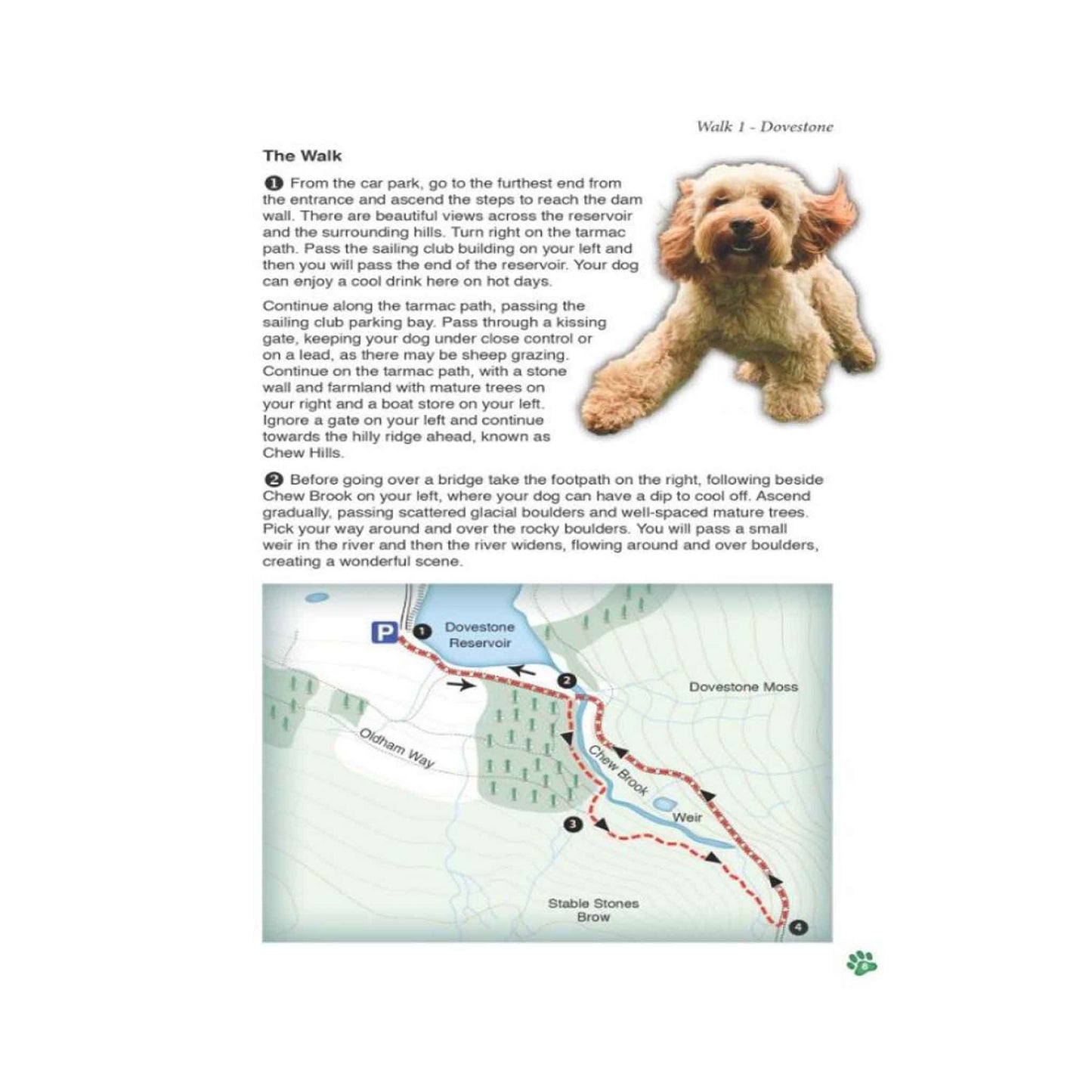 Countryside Dog Walks - Peak District North - Floyd & Fleet