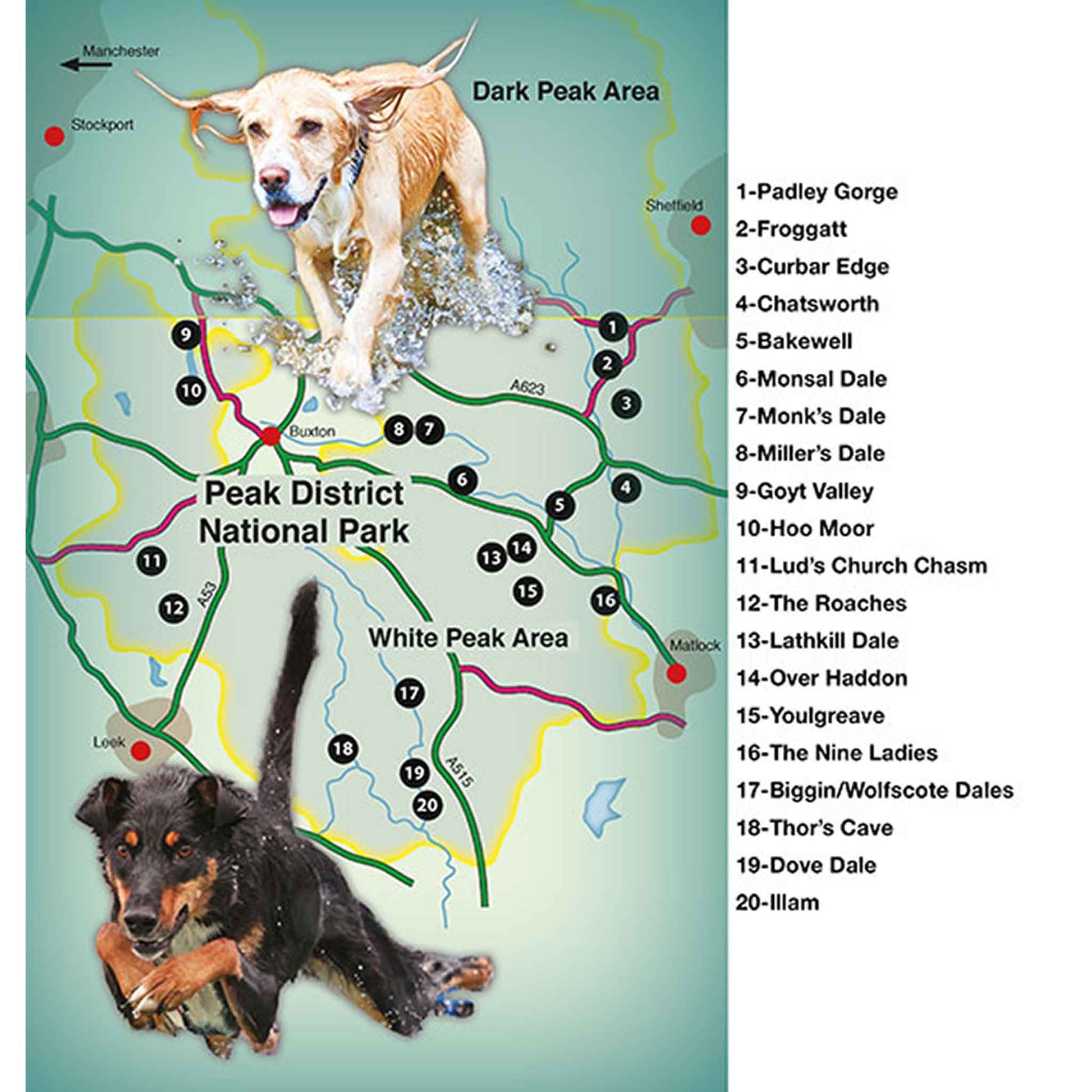 Countryside Dog Walks - Peak District South - Floyd & Fleet